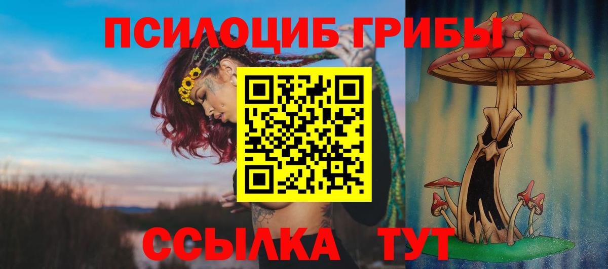 Нефтекумск  Псилоцибиновые грибы мицелий  Вход с VPN 